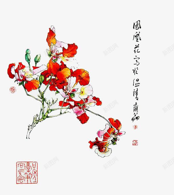 工笔画凤凰花png免抠素材_88icon https://88icon.com 凤凰花 凤凰花儿 工笔画 美术 花