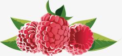 健康食品西梅蔓越莓红莓高清图片
