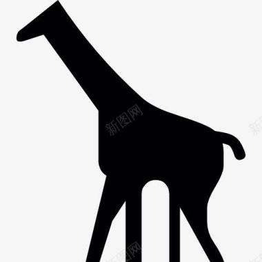 动物园长颈鹿剪影图标图标