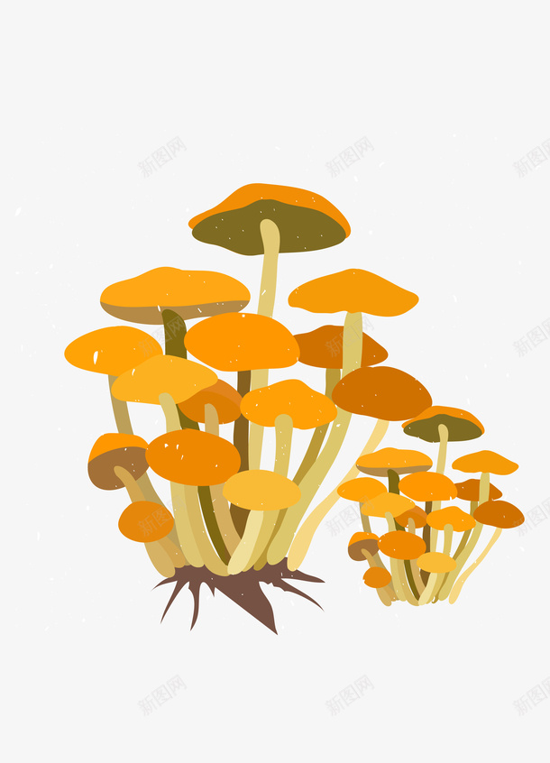 卡通手绘蔬菜装饰海报png免抠素材_88icon https://88icon.com 卡通植物插画 卡通装饰 小清新插画 广告设计 海报设计 美食 蔬菜 蔬菜插画 蘑菇