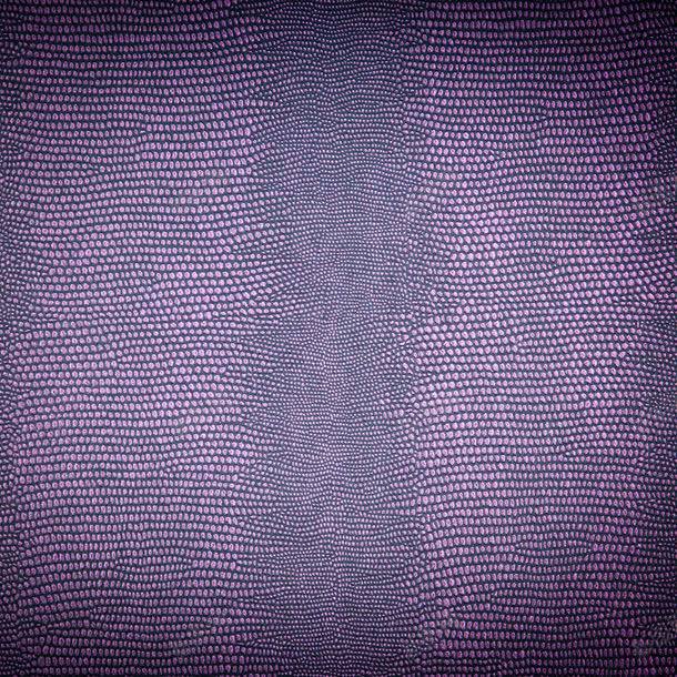 皮革背景底纹jpg设计背景_88icon https://88icon.com 图片素材 底纹背景 皮革纹理 皮革背景 皮革背景底纹图片 皮革背景底纹图片素材下载 纹理背景 背景花边 蛇皮背景