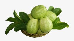 一箩筐芭乐素材