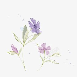 浅紫色花朵素材