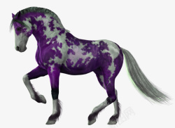 紫色花马素材