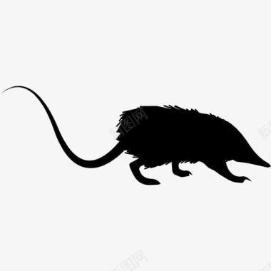 鼠钱数大鼠的轮廓图标图标