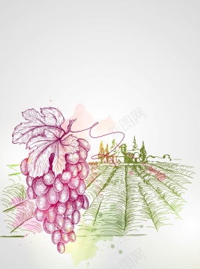 矢量手绘素描水彩葡萄酒庄园背景背景
