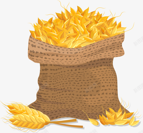 黄色稻穗果实png免抠素材_88icon https://88icon.com 一袋子稻穗 稻穗果实 粮食 金色麦穗 饱满果实 黃色稻穗 黄色稻穗 黄色麻袋