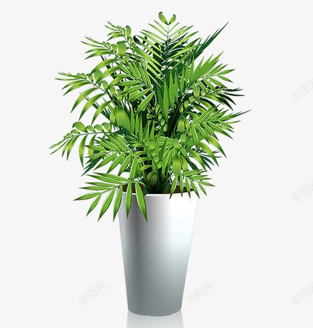 室外景观植物png免抠素材_88icon https://88icon.com psd 室外 室外景观植物素材免费下载 时尚 景观 植物 白色