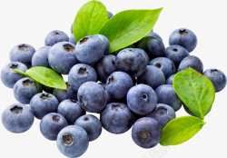 蓝莓披萨免抠素材蓝莓食物图高清图片
