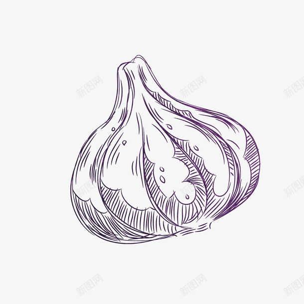 手绘大蒜食物矢量图ai免抠素材_88icon https://88icon.com 大蒜 大蒜设计 紫皮大蒜 蒜米 蒜米设计 食材 食物设计 矢量图