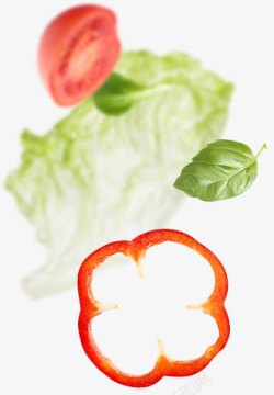 西红柿白菜叶蔬菜背景素材