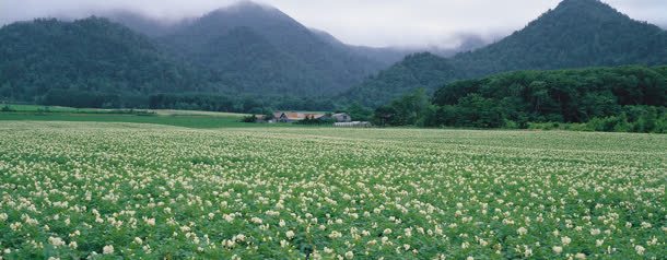 唯美风景拍摄背景图jpg设计背景_88icon https://88icon.com 拍摄 背景 风景