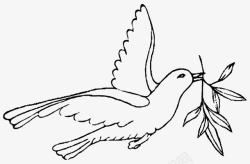 和平鸽手绘橄榄枝素材