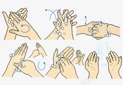 正确洗手步骤图示矢量图素材