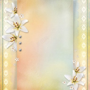 白色花朵欧式背景背景