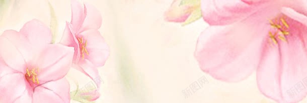 唯美花朵背景jpg设计背景_88icon https://88icon.com PSD格式 促销 唯美花朵 天猫海报 广告 梦幻花朵 活动 海报 淘宝促销 粉色 花朵
