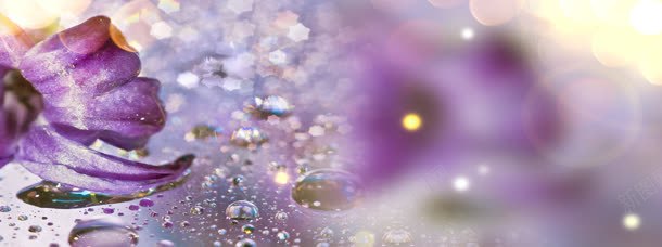 梦幻紫色花朵背景jpg设计背景_88icon https://88icon.com 化妆品 化妆品设计 梦幻 紫色 花朵
