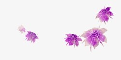 手绘紫色小花插图素材