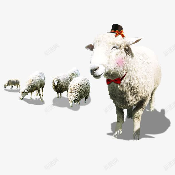 带礼帽的羊png免抠素材_88icon https://88icon.com 低头的羊 微笑的羊 绵羊 羊群
