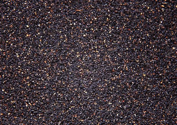 黑豆白豆装饰背景jpg设计背景_88icon https://88icon.com 背景 装饰 黑豆