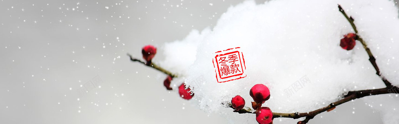 冬季淘宝女装羽绒服梅花雪景背景bannerpsd设计背景_88icon https://88icon.com banner 中国风 冬季 女装 梅花 海报banner 淘宝 羽绒服 背景 雪景