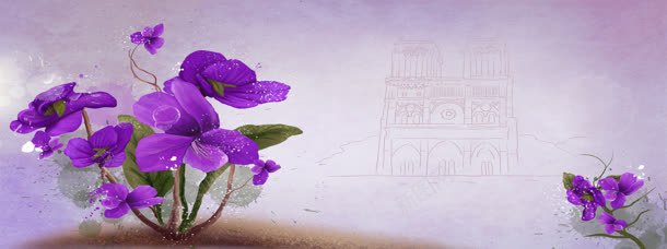 紫色的蝴蝶花背景背景