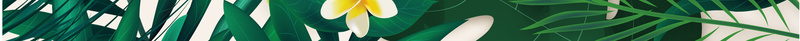 热带植物八哥party海报背景矢量图ai设计背景_88icon https://88icon.com 八哥 卡通 手绘 植物海报 植物素材 植物背景 海报素材 热带 童趣 背景 矢量图