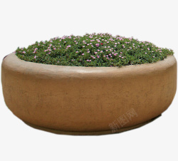 石缸中的绿色植物和花素材