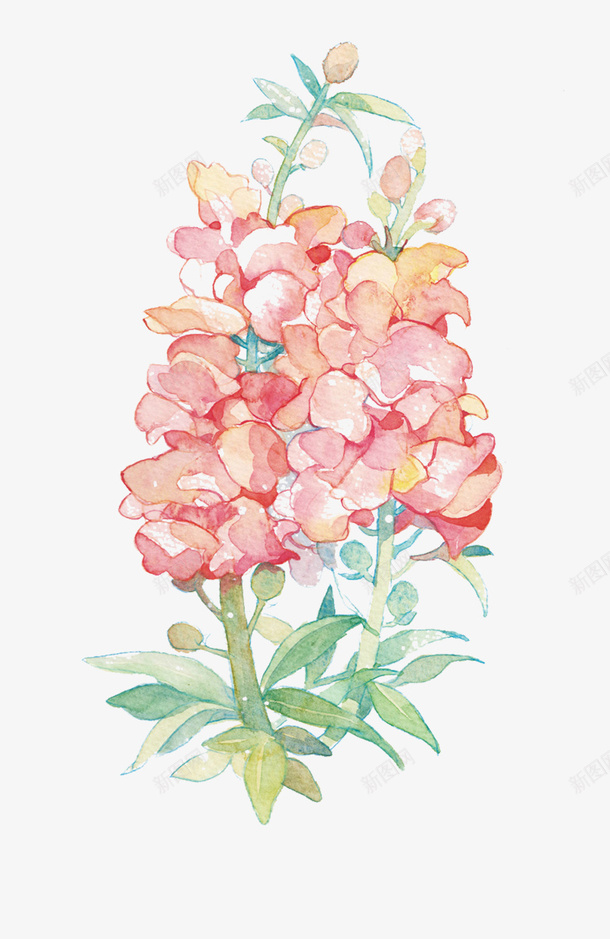 粉色装饰花png免抠素材_88icon https://88icon.com 手绘 植物 水彩 花朵 花瓣 装饰画