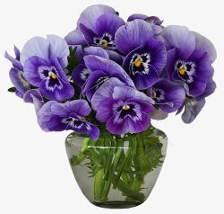 紫色的创意合成花卉植物素材