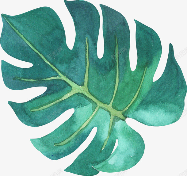 手绘绿色树叶png免抠素材_88icon https://88icon.com 叶子 手绘 手绘绿色树叶 手绘绿色树叶PNG 树叶 绿色 绿色植物