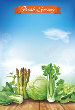 健康绿色蔬菜农场海报背景矢量图背景