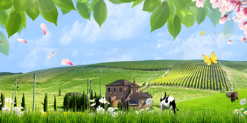 草原乡村景色一起去旅游海报背景psd设计背景_88icon https://88icon.com 一起去旅游 兴奋 农村田野 山村旅游 广告设计 海报背景 田园风光 自然景观 自由行 草原乡村 麦田油菜花