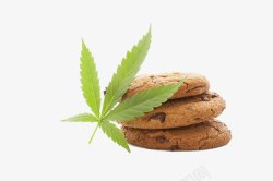 大麻叶子和巧克力饼干素材