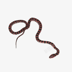 水墨蛇中国风水墨赤炼蛇高清图片
