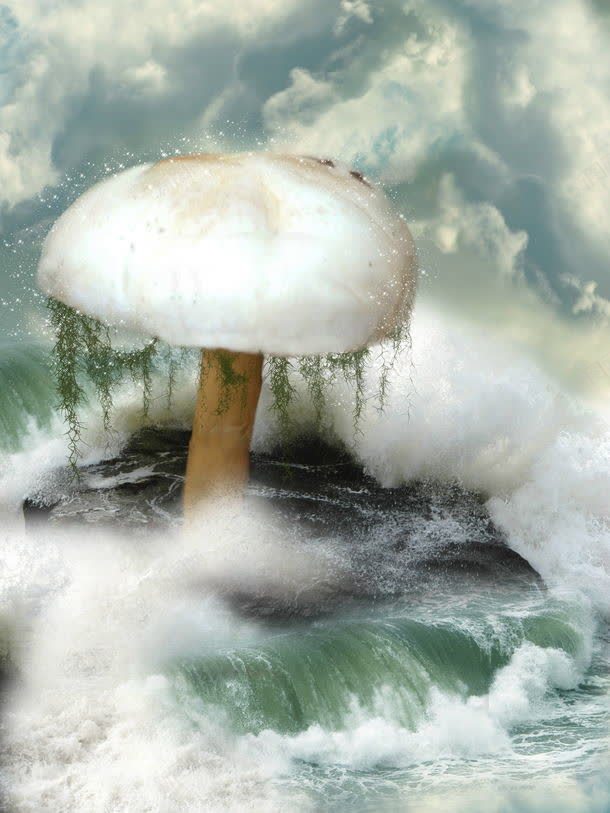 海浪中的蘑菇jpg设计背景_88icon https://88icon.com 其它类别 图片素材 大海 梦幻背景 海浪 海浪中的蘑菇图片 海浪中的蘑菇图片素材下载 背景花边 蘑菇