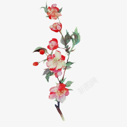 手绘水彩花卉装饰图案素材