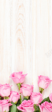粉色玫瑰主题背景婚庆展板背景
