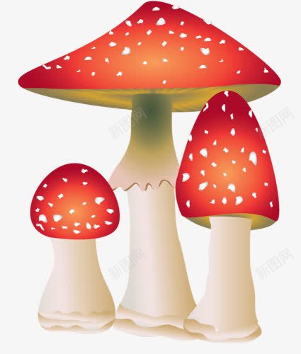 卡通蘑菇png免抠素材_88icon https://88icon.com 毒蘑菇 蘑菇 野生菌 香菇