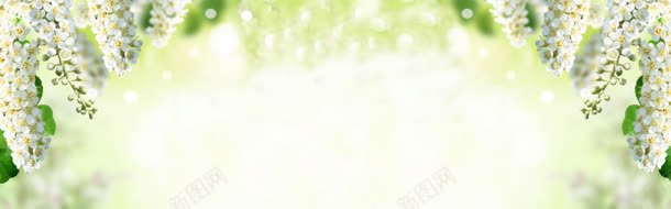 简约大气素雅淘宝海报jpg设计背景_88icon https://88icon.com 大气 海报 简约 素雅