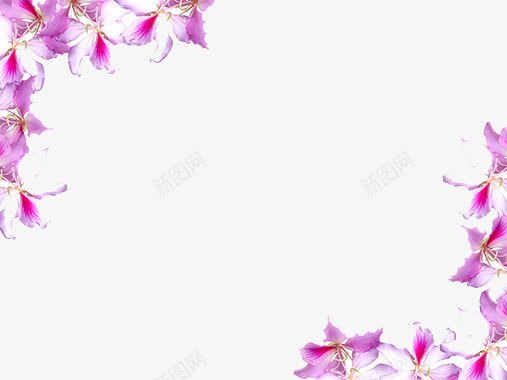紫色花边背景png免抠素材_88icon https://88icon.com PPT背景图 对角 紫色 花朵