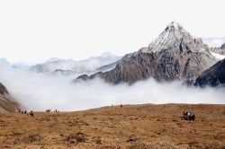 康定贡嘎山贡嘎山景区高清图片