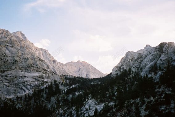 白色深林山谷海报背景背景