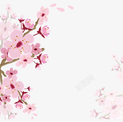 花枝粉色樱花素材