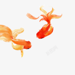 游动的鱼金鱼水墨画片高清图片