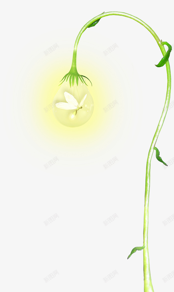 创意手绘发光的植物灯png免抠素材_88icon https://88icon.com 创意 手绘发光的 植物灯