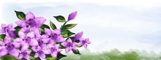 唯美紫色花朵背景背景