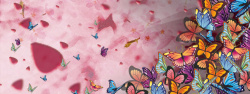 网页标头展示蝴蝶背景海报高清图片