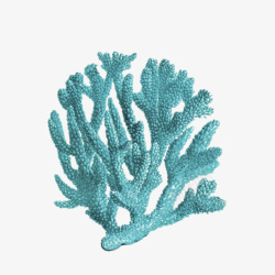 卡通手绘美丽的珊瑚素材