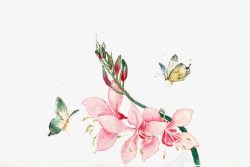 手绘水彩蝴蝶花束素材